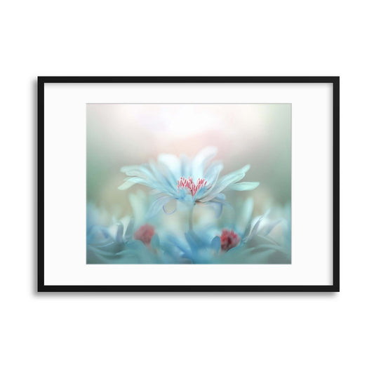 Fantasy by Jacky Parker Framed Print - USTAD HOME