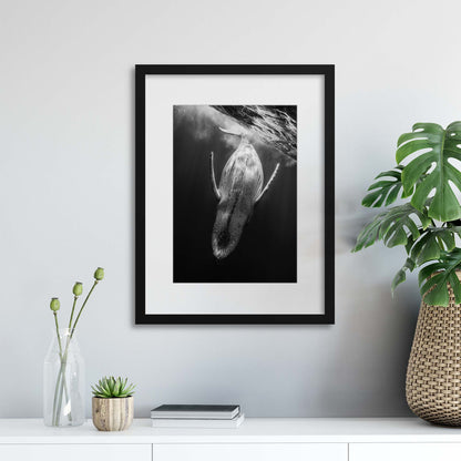 Black and Whale by Barathieu Gabriel Framed Print - USTAD HOME