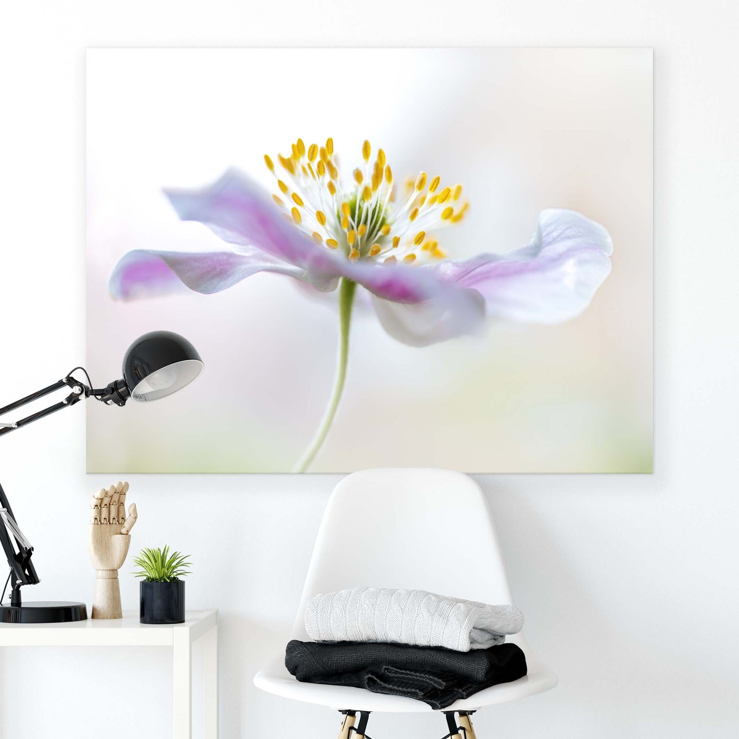 Wood Anemone by Mandy Disher Canvas Print - USTAD HOME