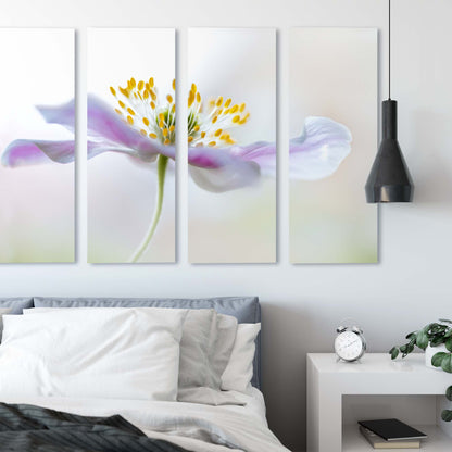 Wood Anemone by Mandy Disher Canvas Print - USTAD HOME