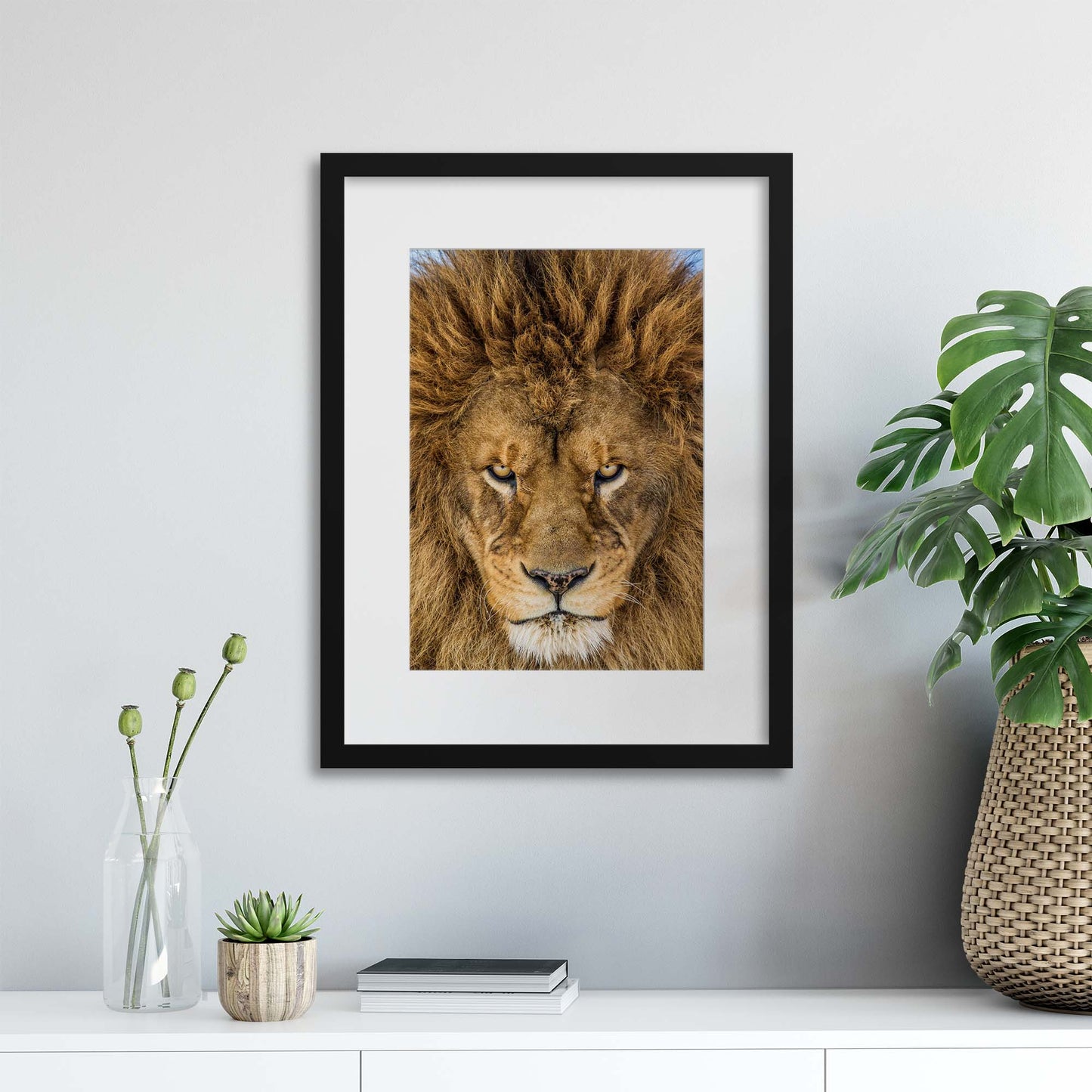 Serious Lion by Mike Centioli Framed Print - USTAD HOME