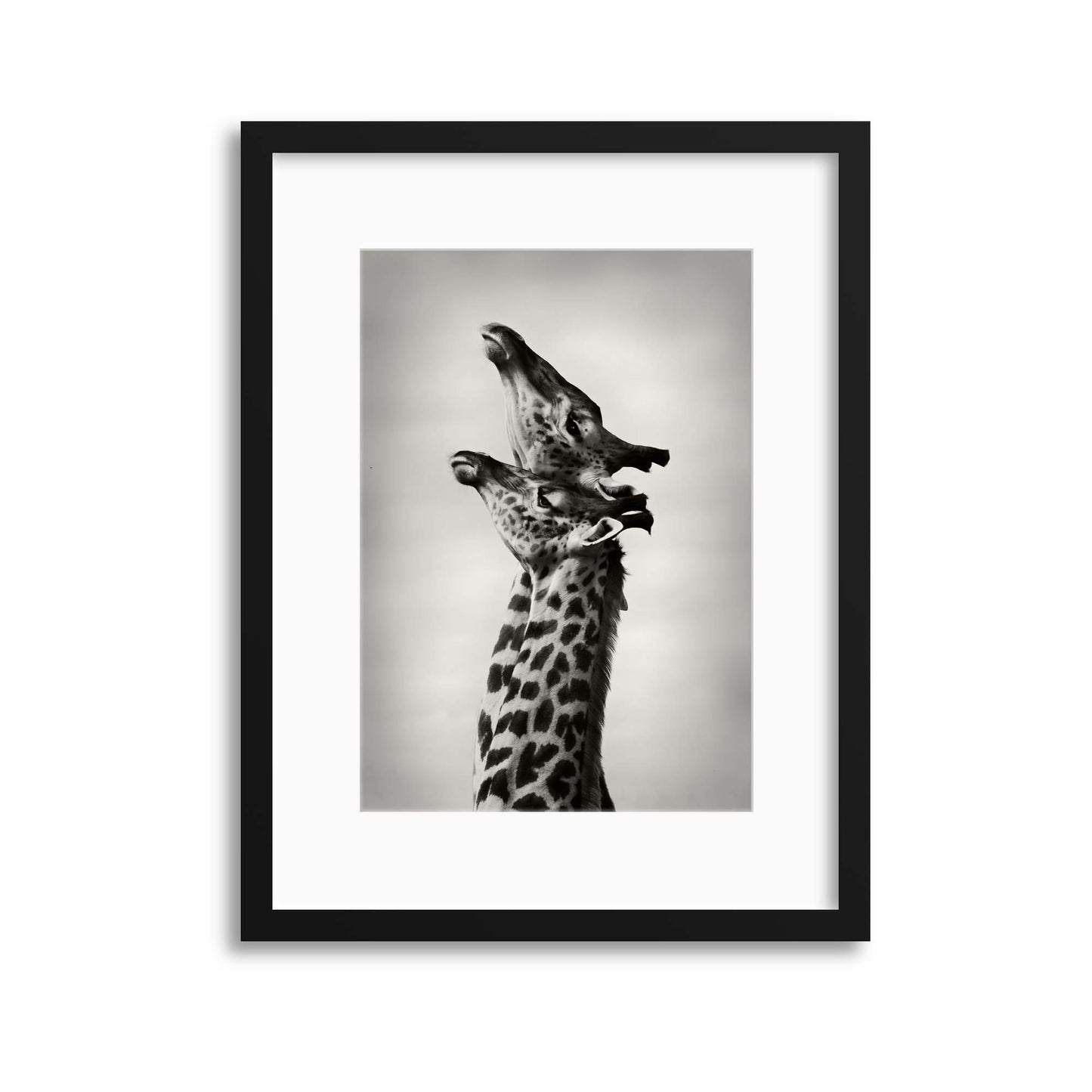 True Love by WildPhotoArt Framed Print - USTAD HOME