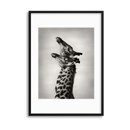 True Love by WildPhotoArt Framed Print - USTAD HOME