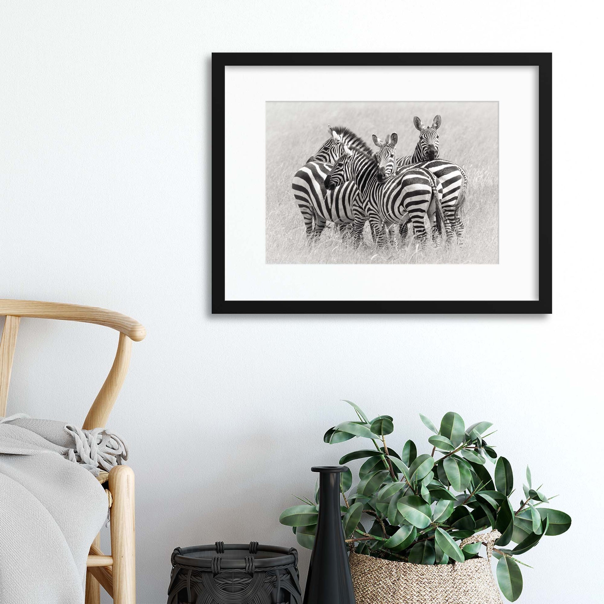 Zebras by Kirill Trubitsyn Framed Print - USTAD HOME