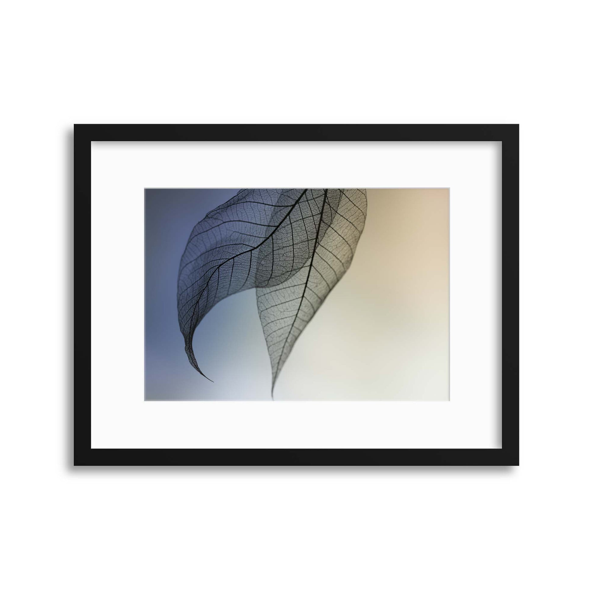 Cavatina by Shihya Kowatari Framed Print - USTAD HOME