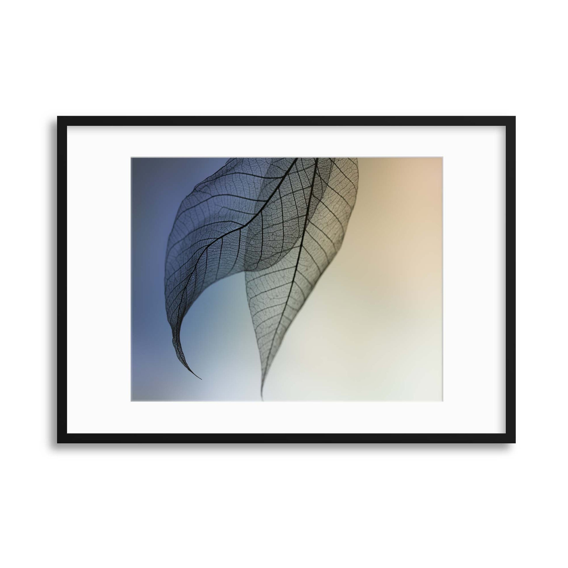 Cavatina by Shihya Kowatari Framed Print - USTAD HOME