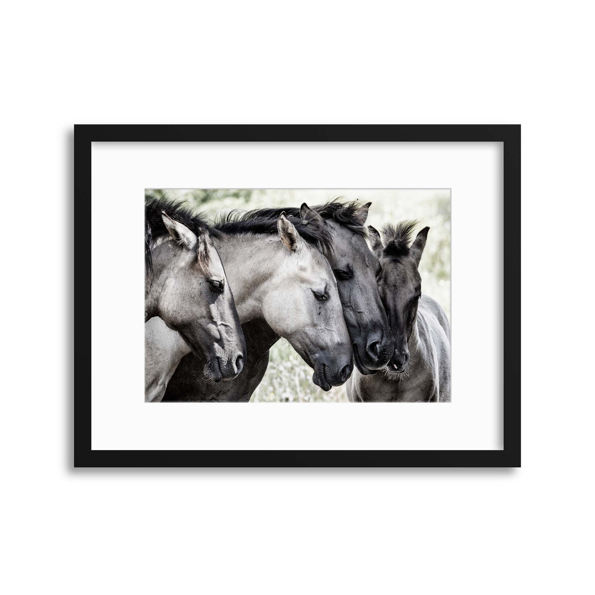 Four Konik Horses by Jaap Framed Print - USTAD HOME