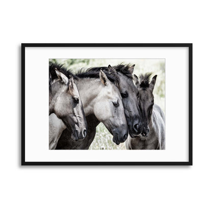 Four Konik Horses by Jaap Framed Print - USTAD HOME