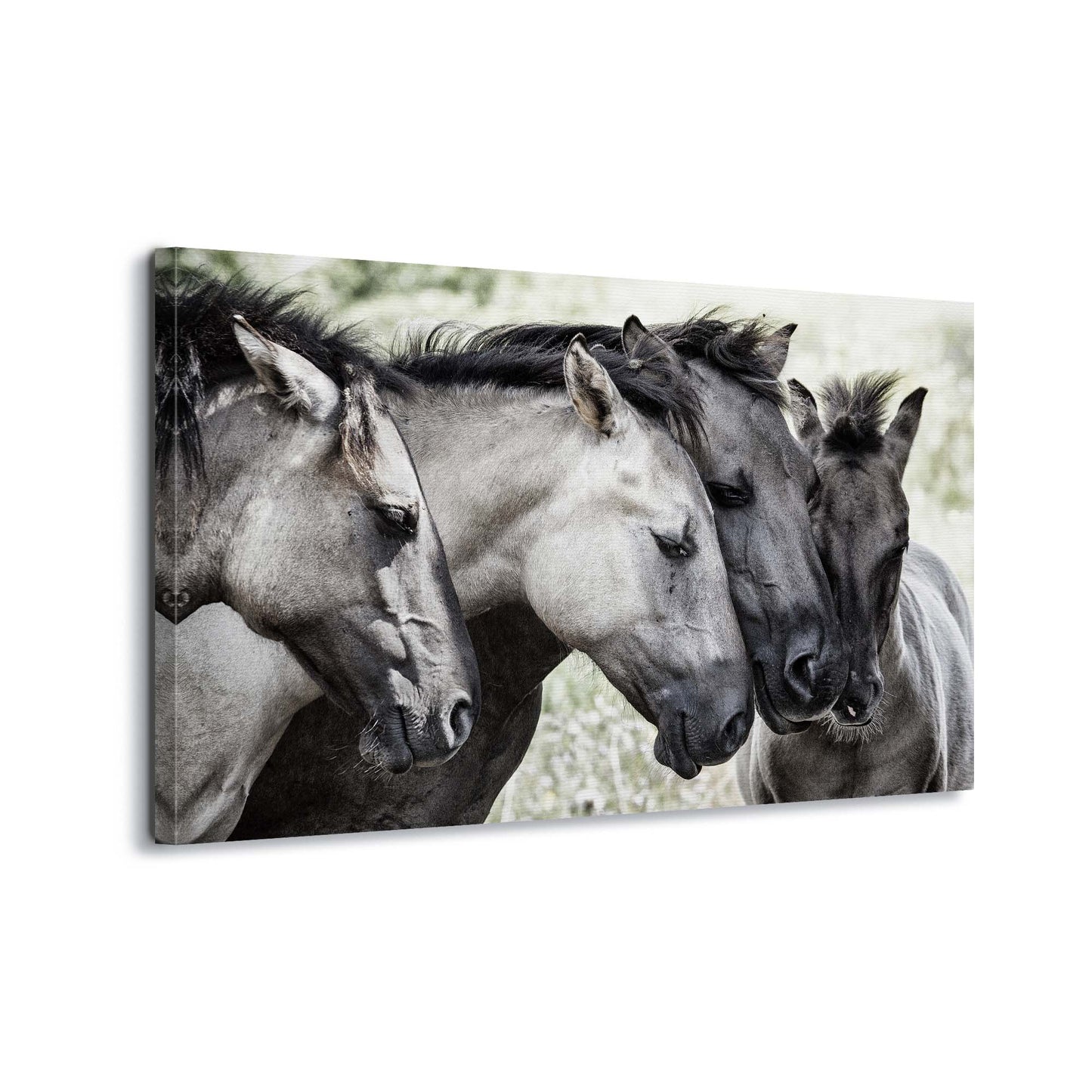 Four Konik Horses by Jaap Canvas Print - USTAD HOME