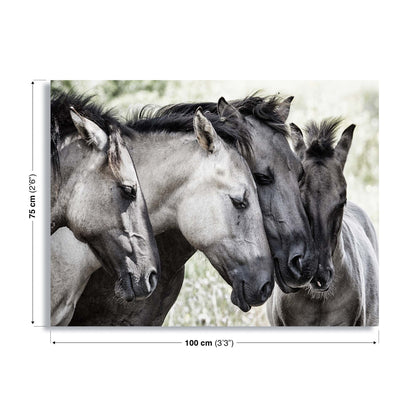 Four Konik Horses by Jaap Canvas Print - USTAD HOME