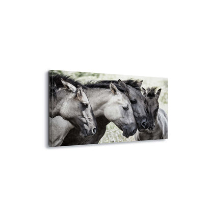 Four Konik Horses by Jaap Canvas Print - USTAD HOME