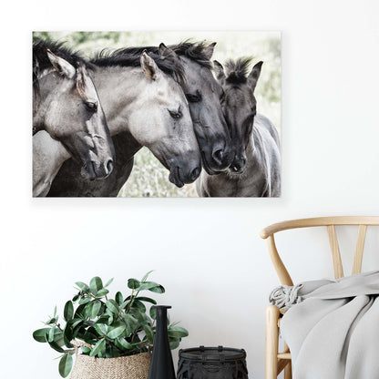 Four Konik Horses by Jaap Canvas Print - USTAD HOME