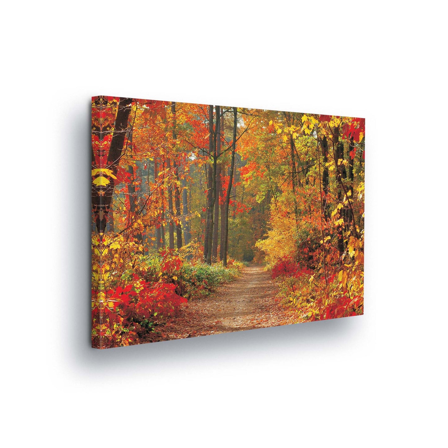 Forest & Trees Canvas Photo Print - USTAD HOME