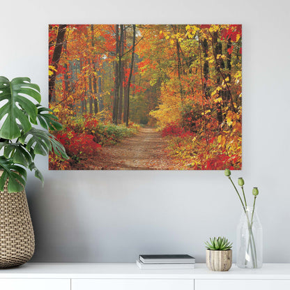 Forest & Trees Canvas Photo Print - USTAD HOME