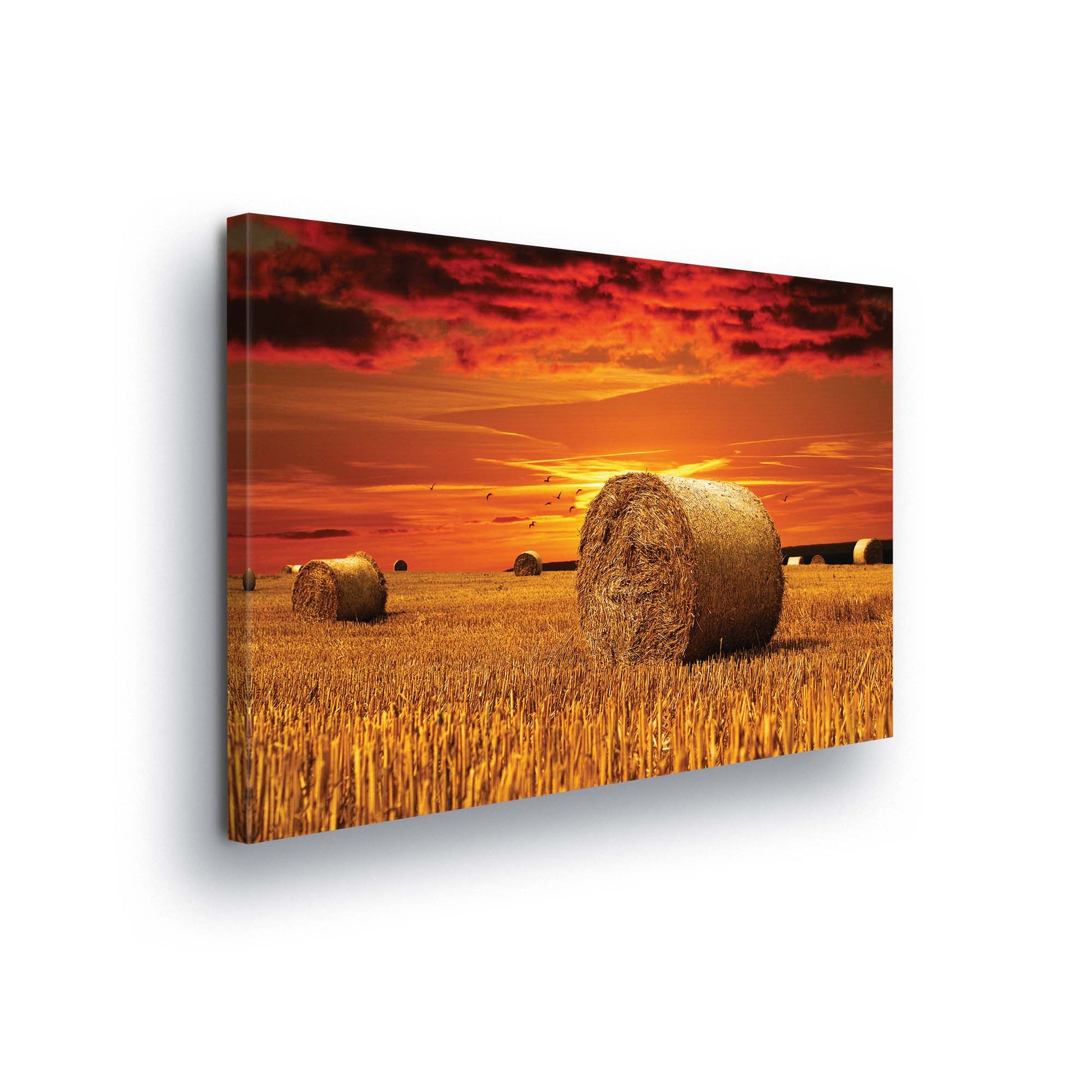 Meadows & Countryside Canvas Photo Print - USTAD HOME