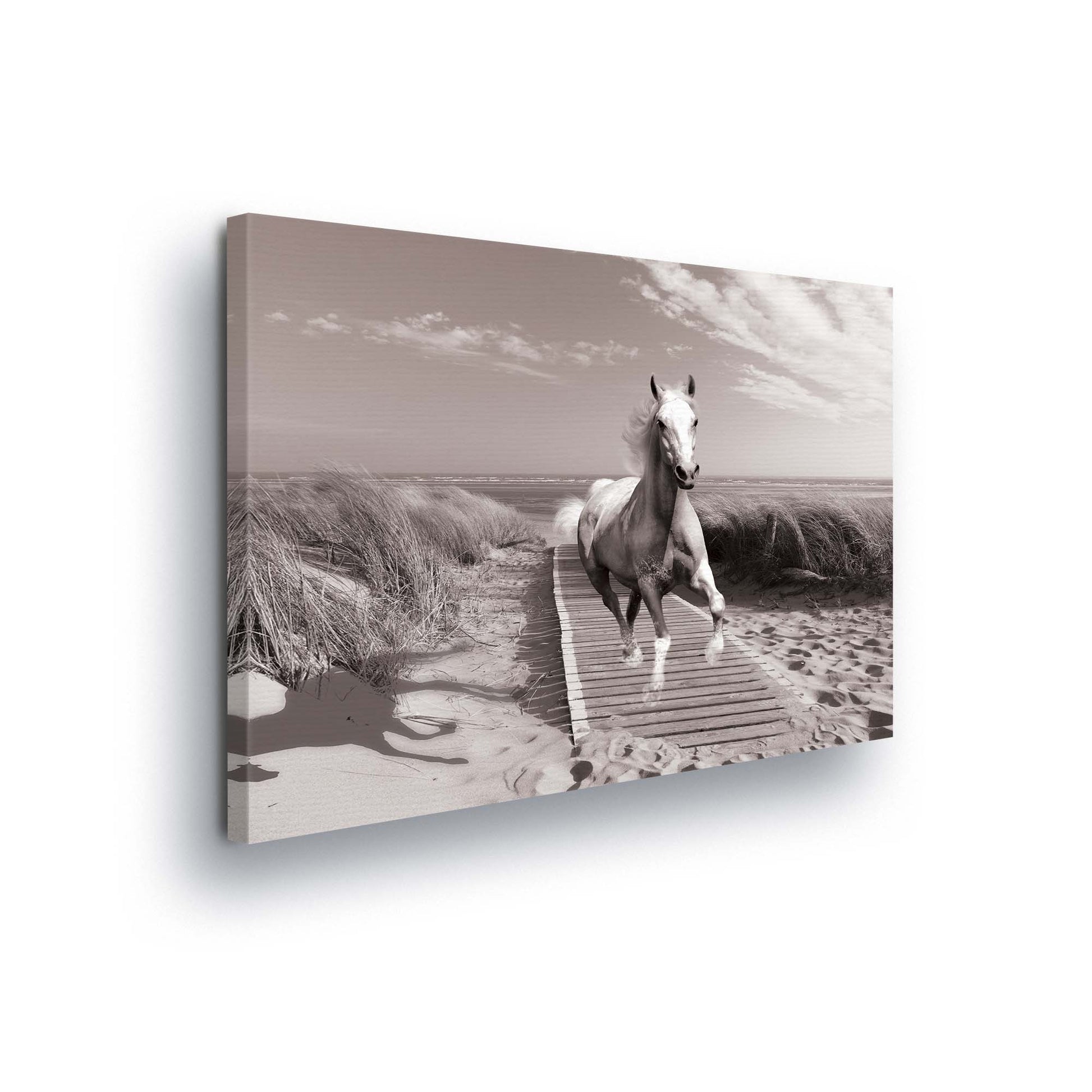 Horses & Unicorns Canvas Photo Print - USTAD HOME