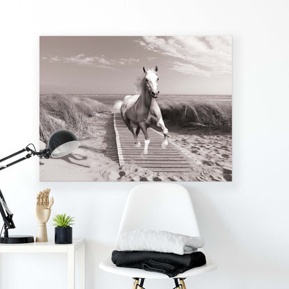 Horses & Unicorns Canvas Photo Print - USTAD HOME