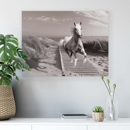 Horses & Unicorns Canvas Photo Print - USTAD HOME