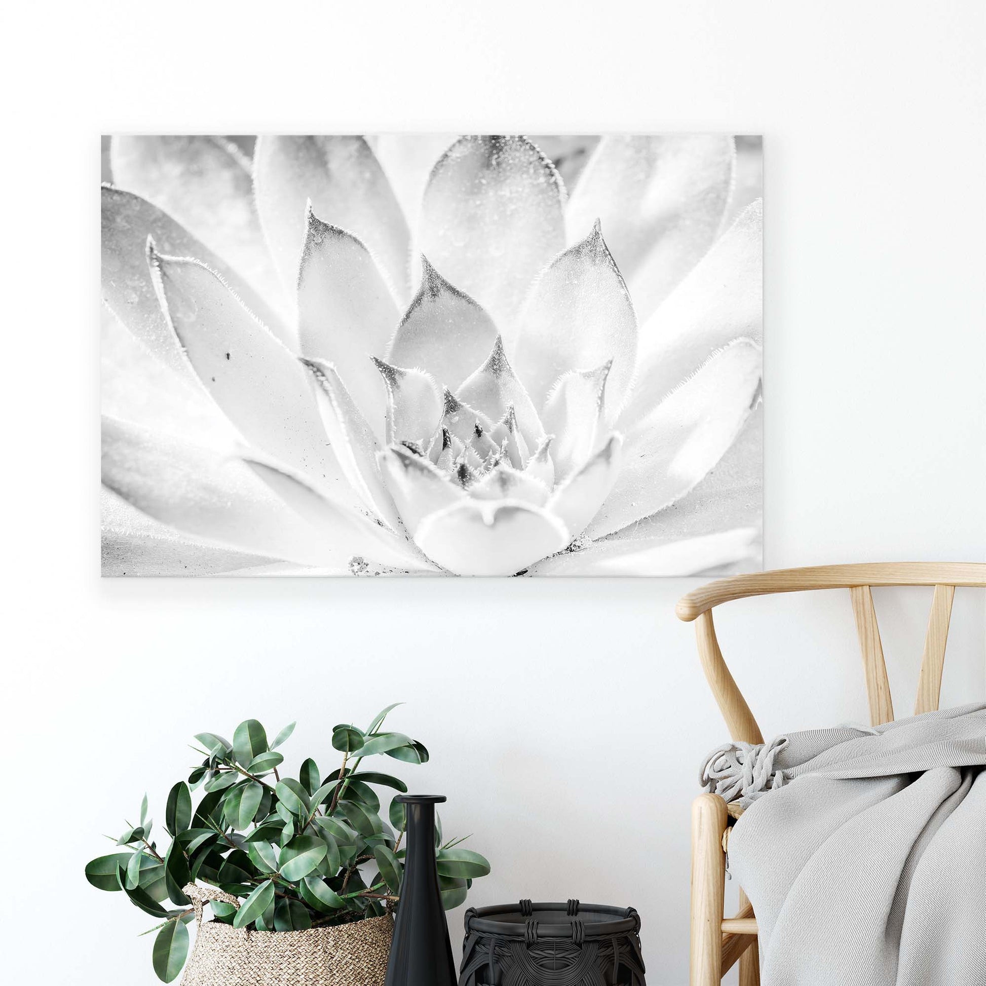 Plants Canvas Photo Print - USTAD HOME