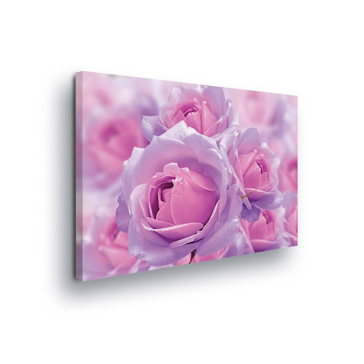 Modern Flowers, Nature, & Swirls Canvas Photo Print - USTAD HOME