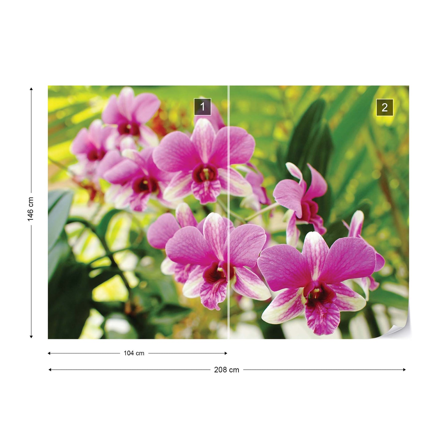 Pink Orchids Photo Wallpaper Wall Mural - USTAD HOME