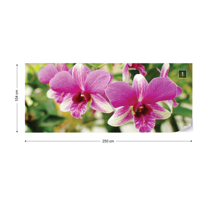 Pink Orchids Photo Wallpaper Wall Mural - USTAD HOME