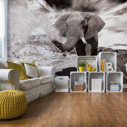 Elephant Highway Black And White Photo Wallpaper Wall Mural - USTAD HOME