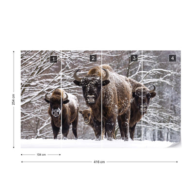 Buffaloes In The Snow Photo Wallpaper Wall Mural - USTAD HOME