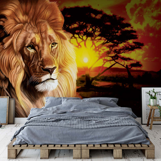 Lion Sunset Africa Animals Photo Wallpaper Wall Mural - USTAD HOME