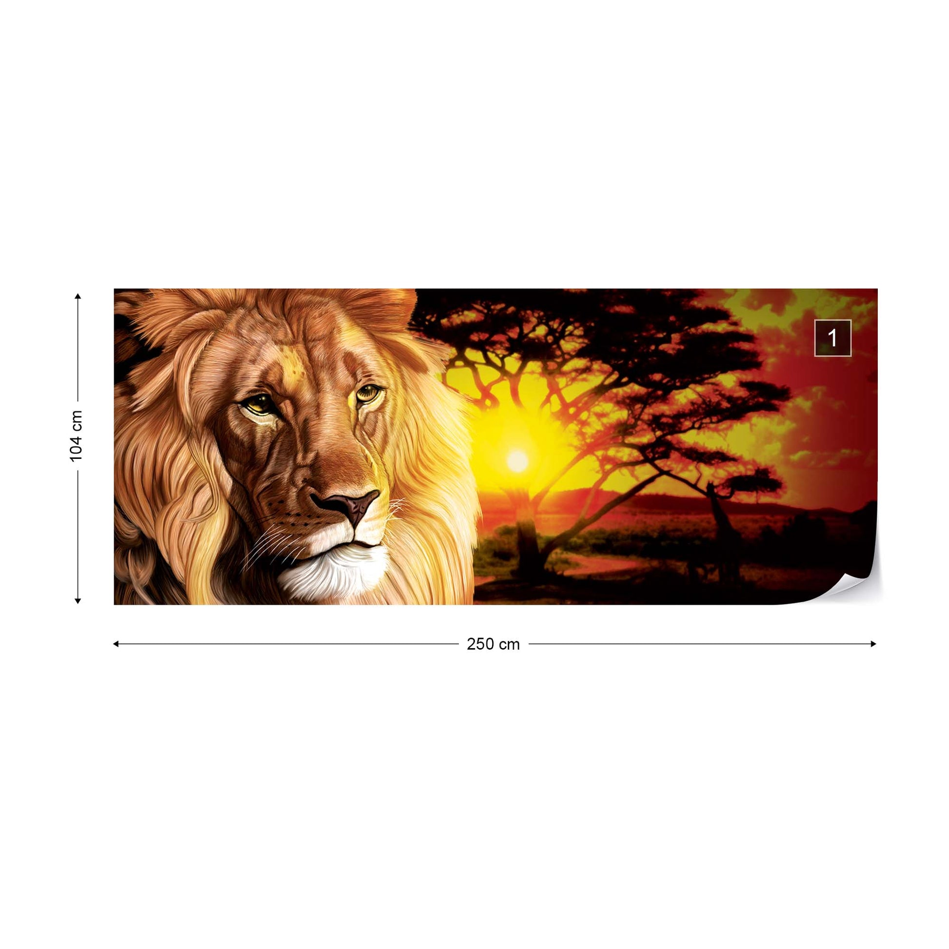 Lion Sunset Africa Animals Photo Wallpaper Wall Mural - USTAD HOME