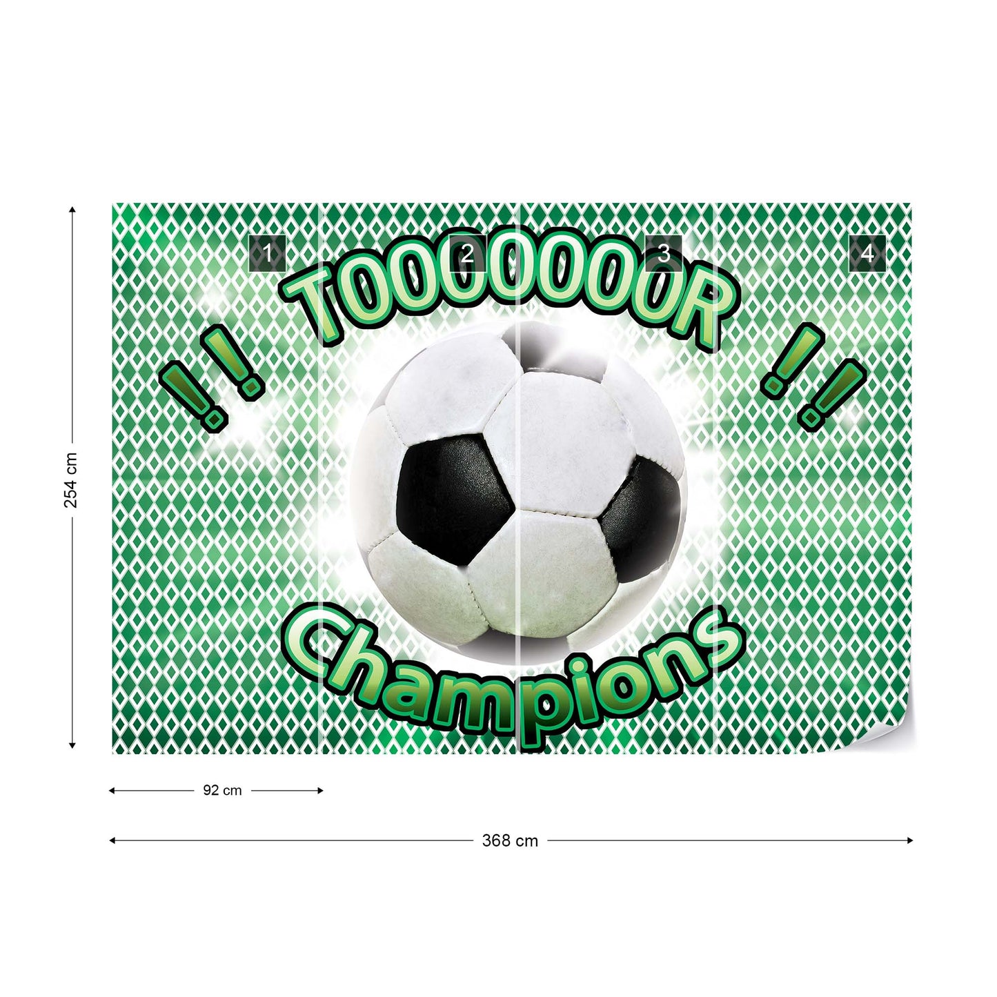 Football Champions Green Photo Wallpaper Wall Mural - USTAD HOME