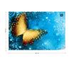 Butterfly Blue Photo Wallpaper Wall Mural - USTAD HOME