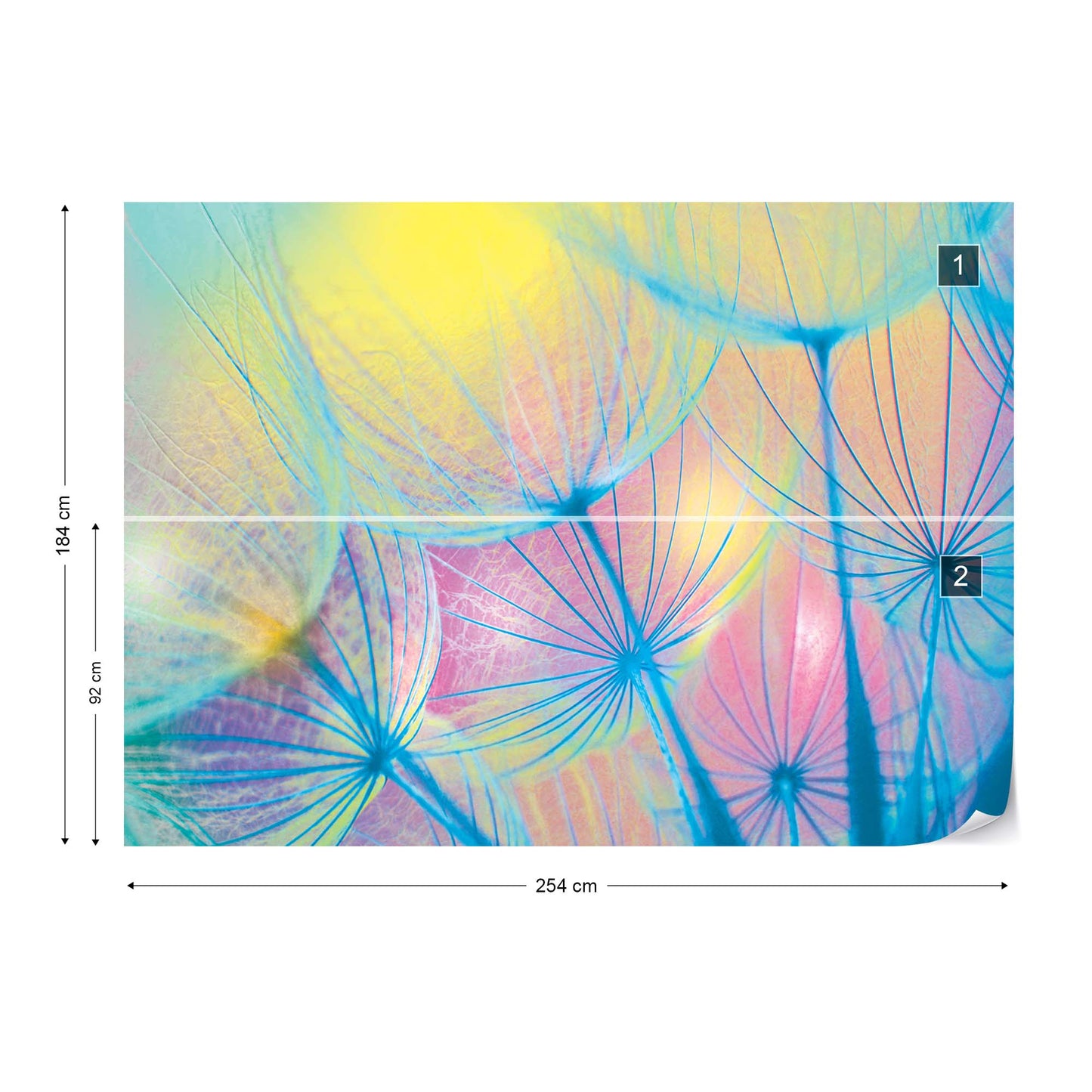 Rainbow Dandelion Photo Wallpaper Wall Mural - USTAD HOME