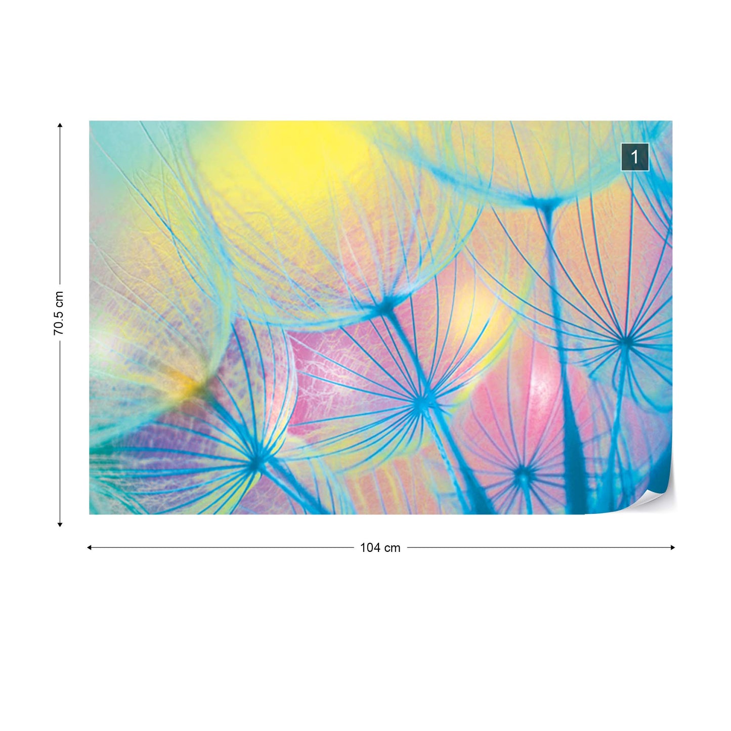 Rainbow Dandelion Photo Wallpaper Wall Mural - USTAD HOME