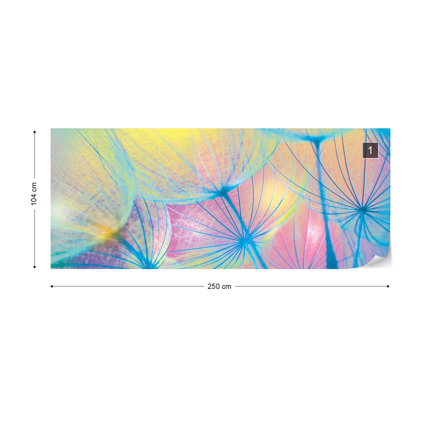 Rainbow Dandelion Photo Wallpaper Wall Mural - USTAD HOME