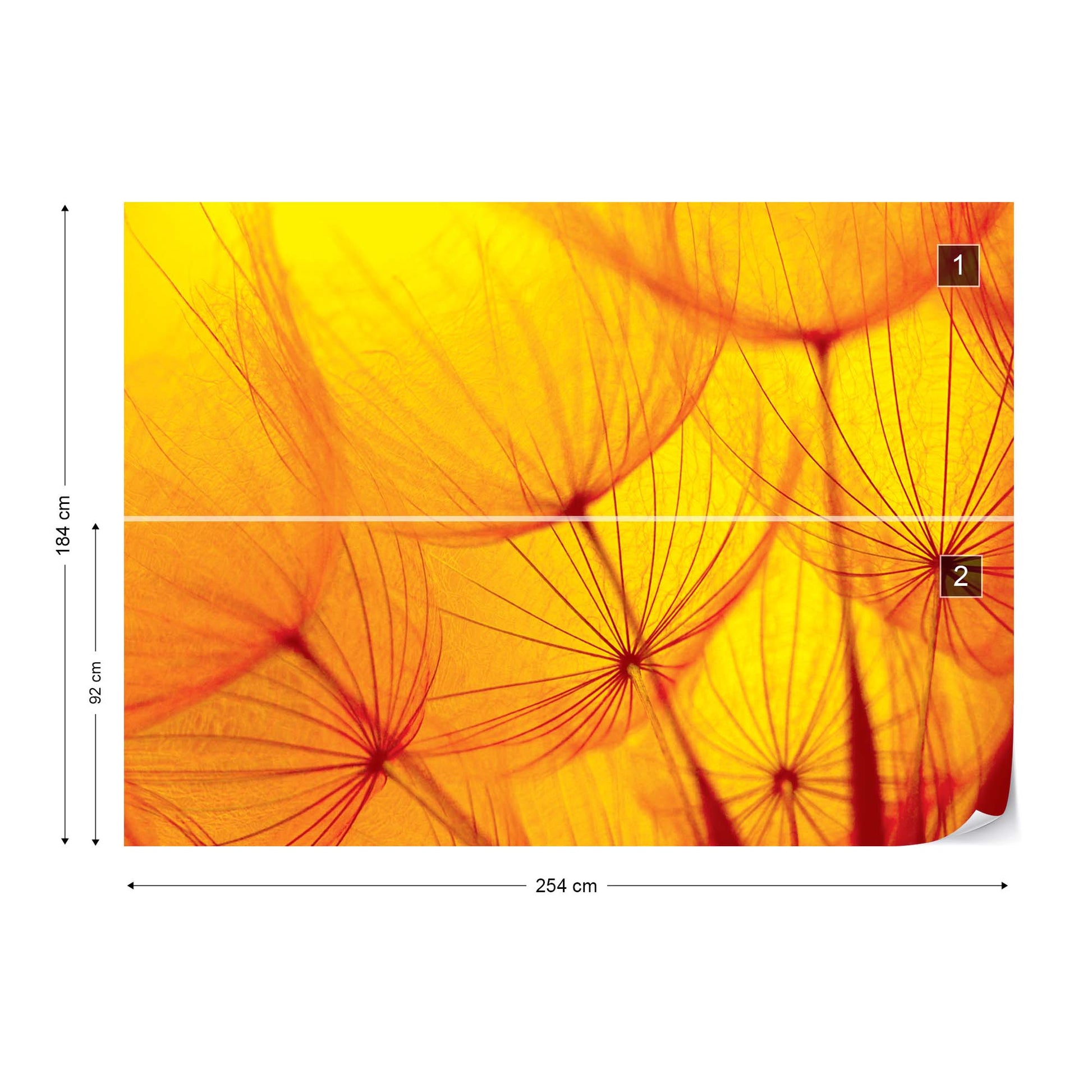 Orange Dandelion Photo Wallpaper Wall Mural - USTAD HOME