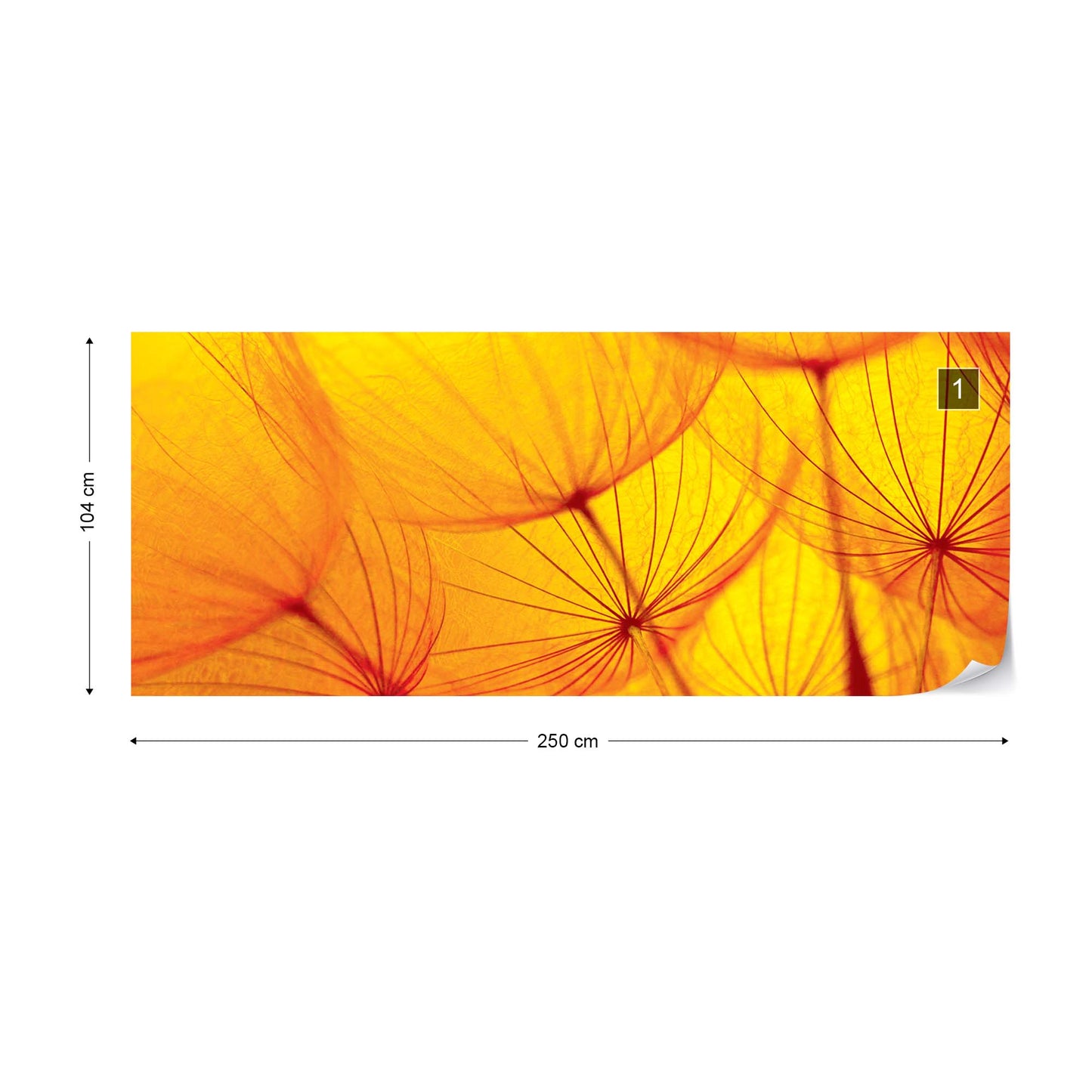 Orange Dandelion Photo Wallpaper Wall Mural - USTAD HOME