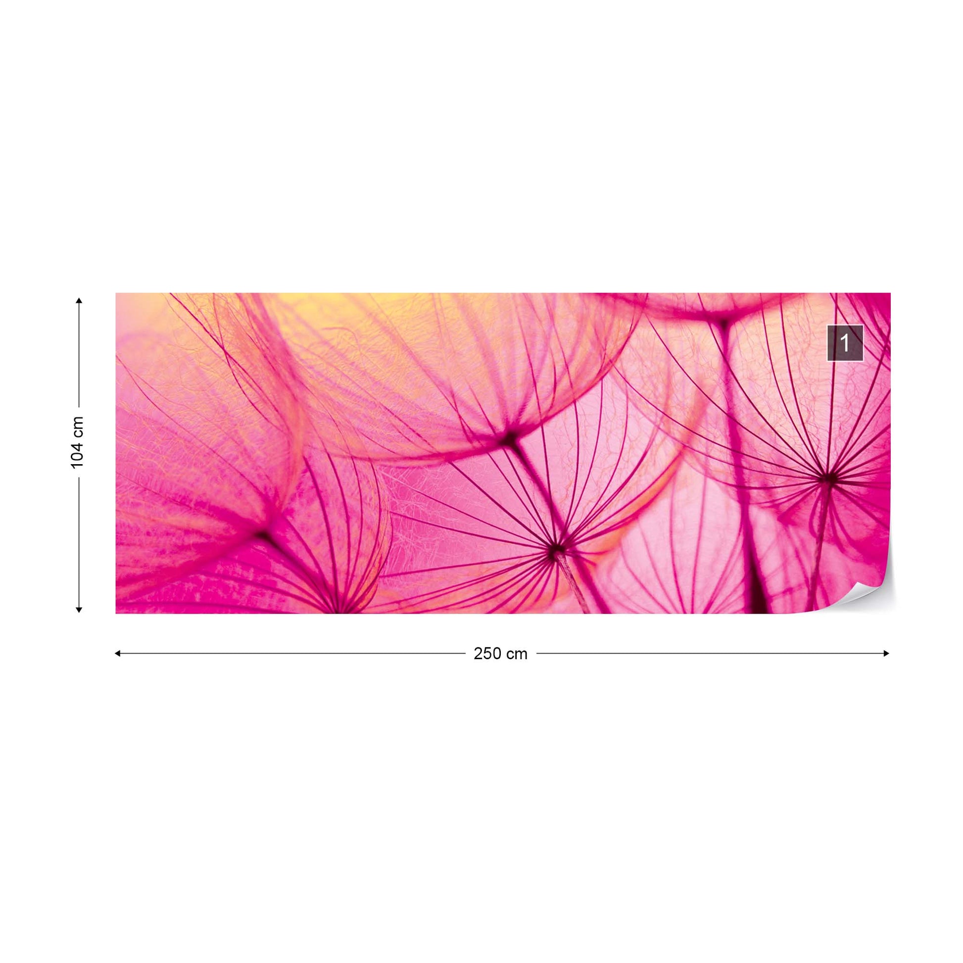 Pink Dandelion Photo Wallpaper Wall Mural - USTAD HOME