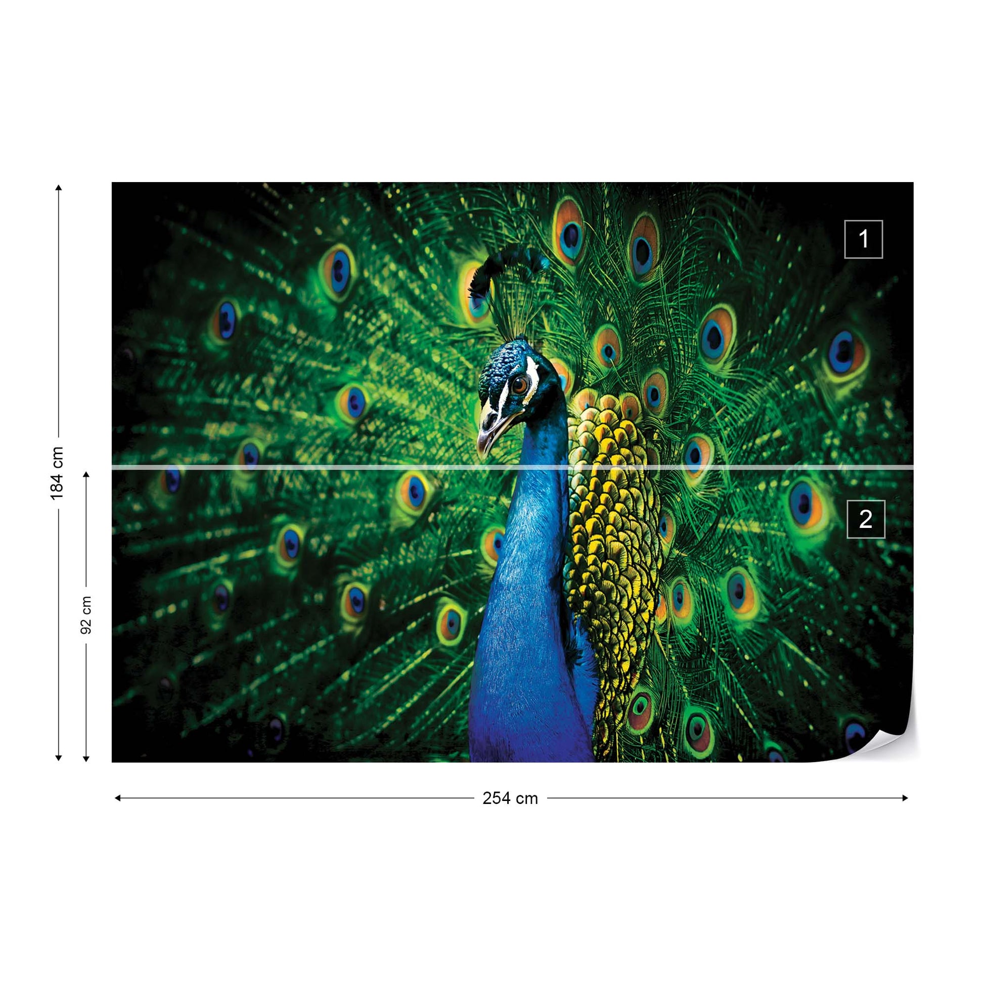 Peacock Bird Feathers Photo Wallpaper Wall Mural - USTAD HOME