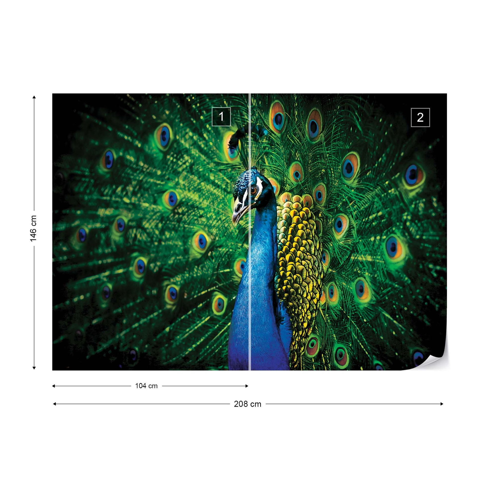 Peacock Bird Feathers Photo Wallpaper Wall Mural - USTAD HOME