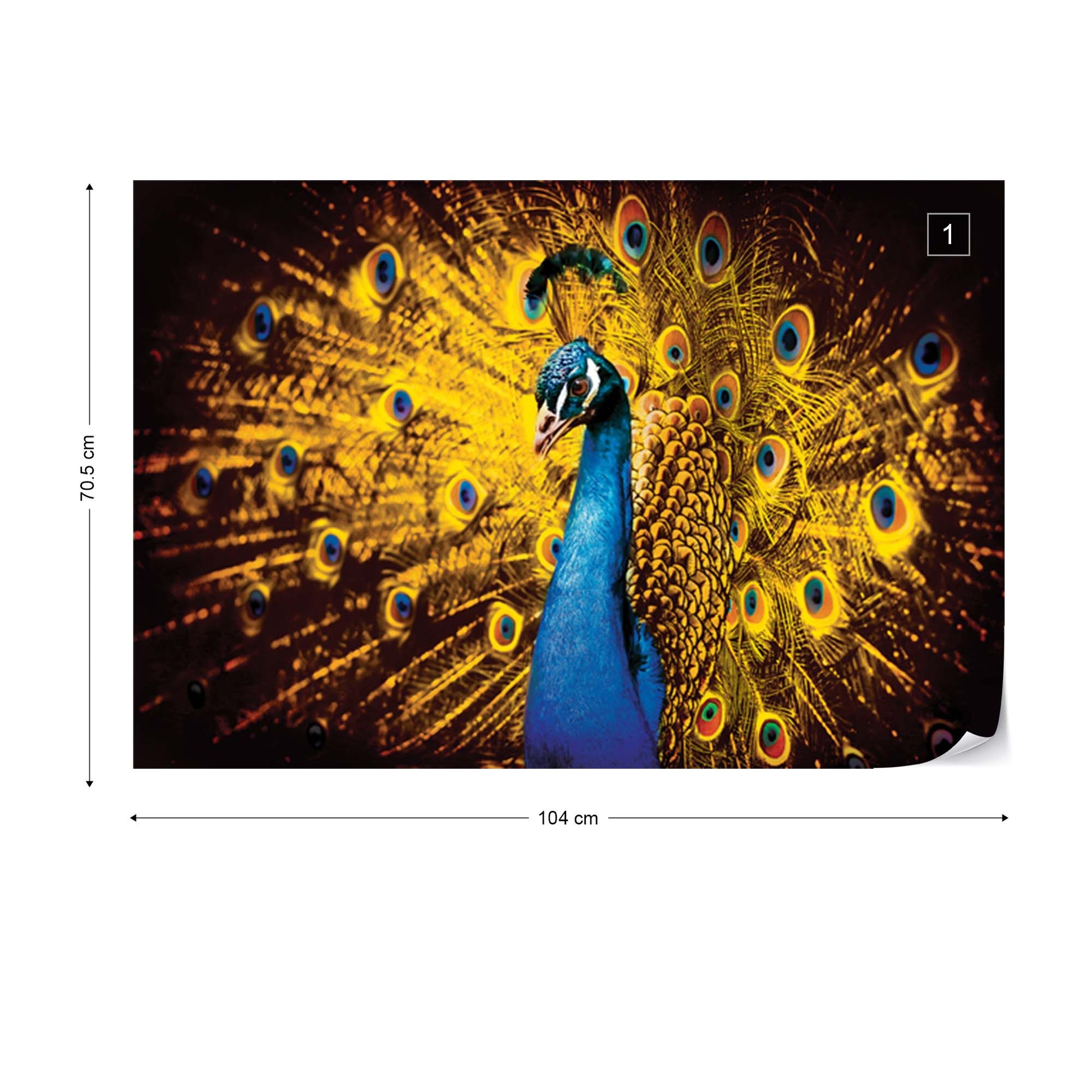 Peacock Bird Gold Feathers Photo Wallpaper Wall Mural - USTAD HOME