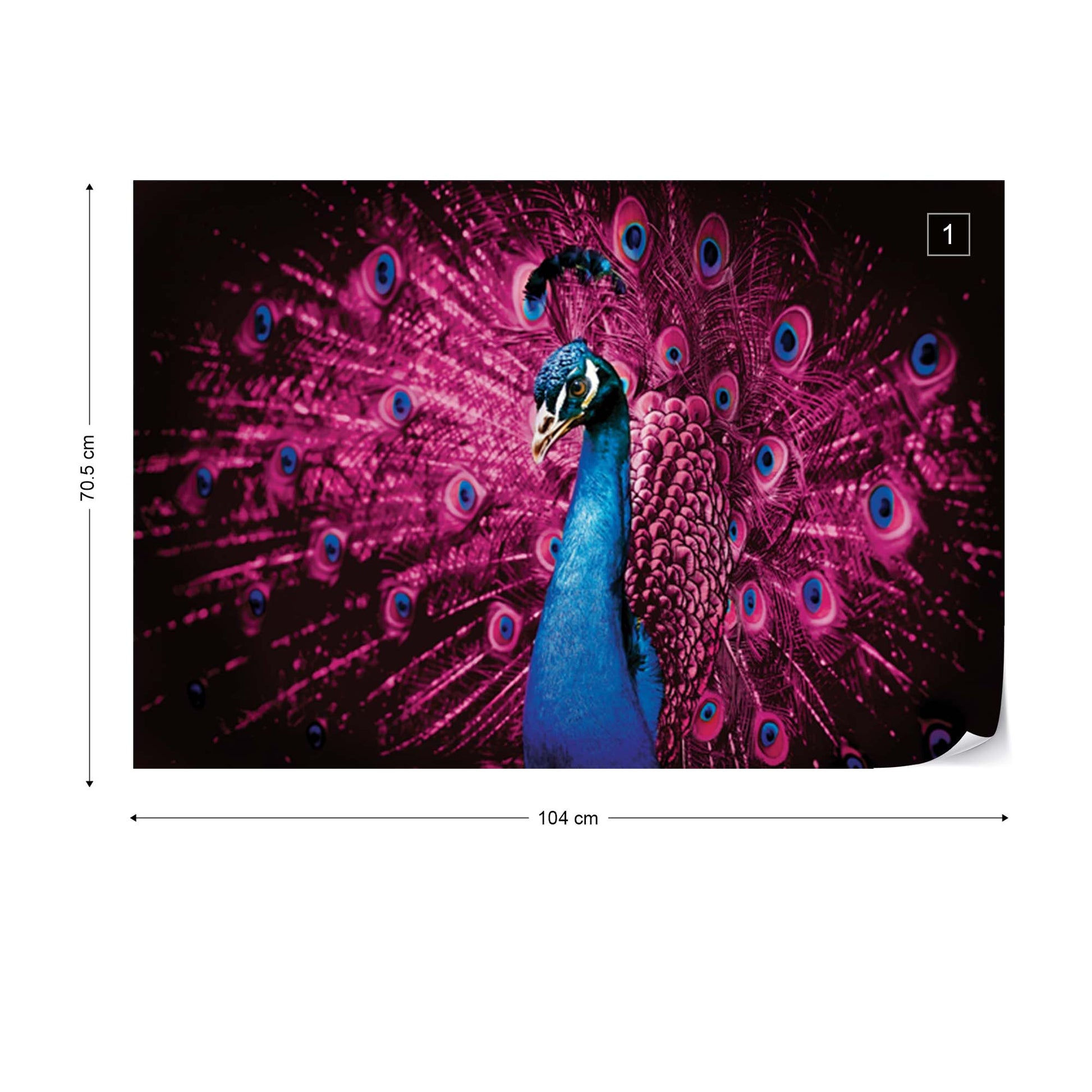 Peacock Bird Pink Feathers Photo Wallpaper Wall Mural - USTAD HOME