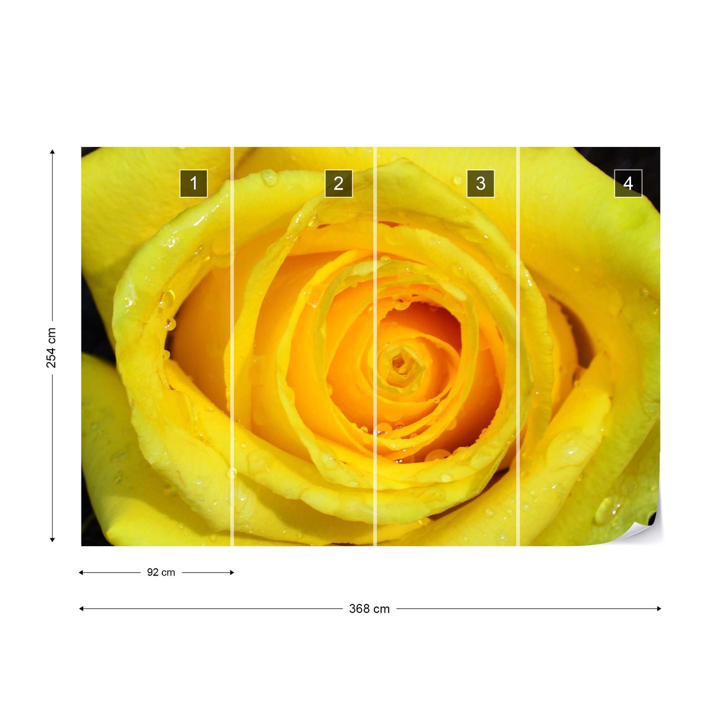 Rose Flower Yellow Photo Wallpaper Wall Mural - USTAD HOME