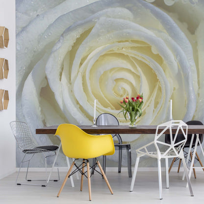 Rose Flower White Photo Wallpaper Wall Mural - USTAD HOME