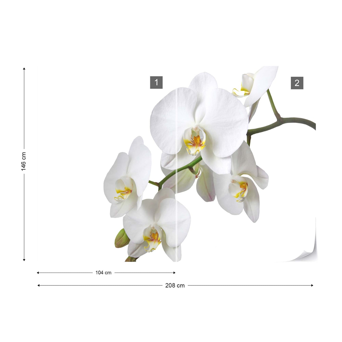 Flowers White Orchids Photo Wallpaper Wall Mural - USTAD HOME