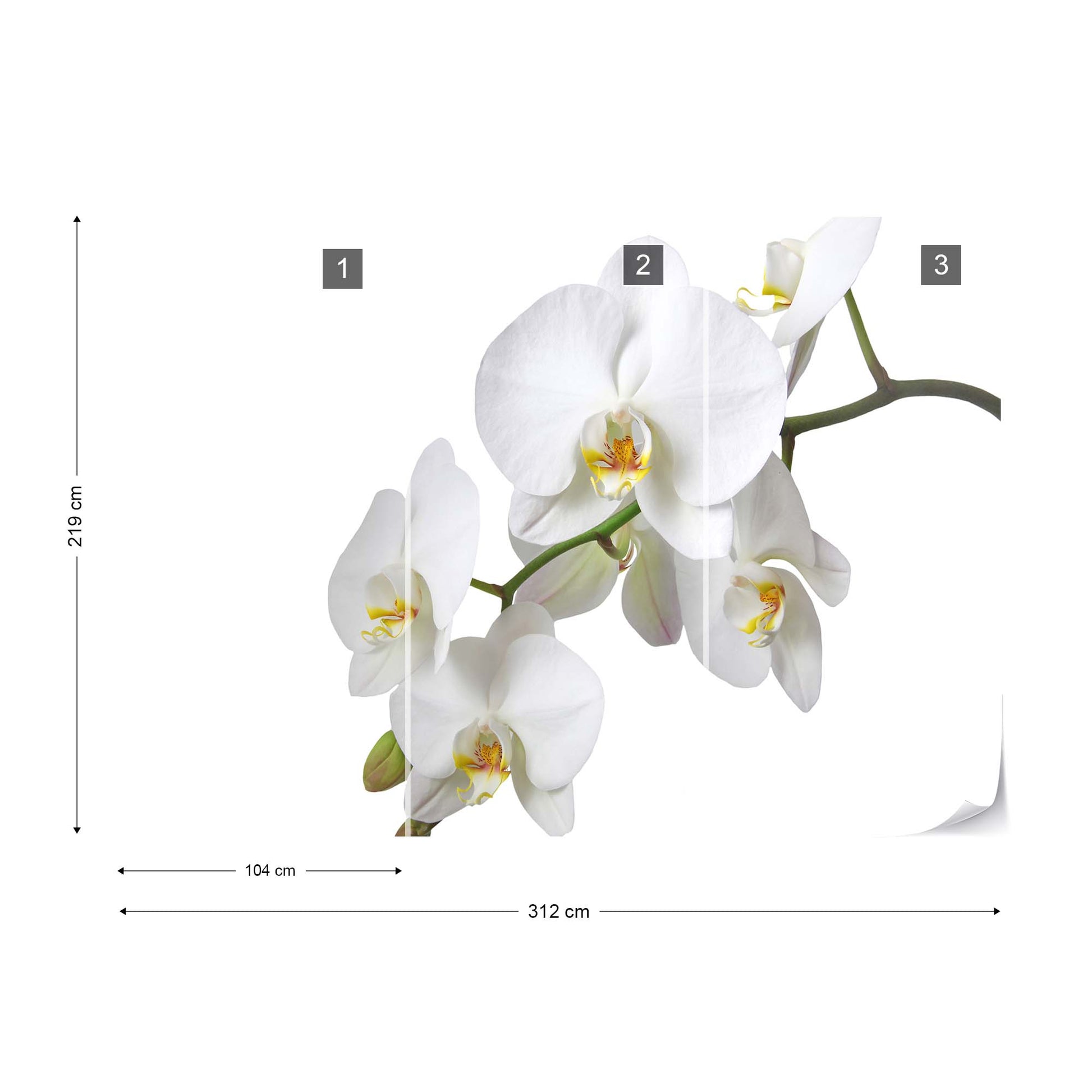 Flowers White Orchids Photo Wallpaper Wall Mural - USTAD HOME