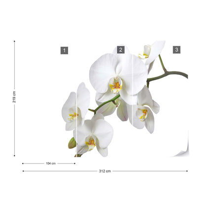 Flowers White Orchids Photo Wallpaper Wall Mural - USTAD HOME