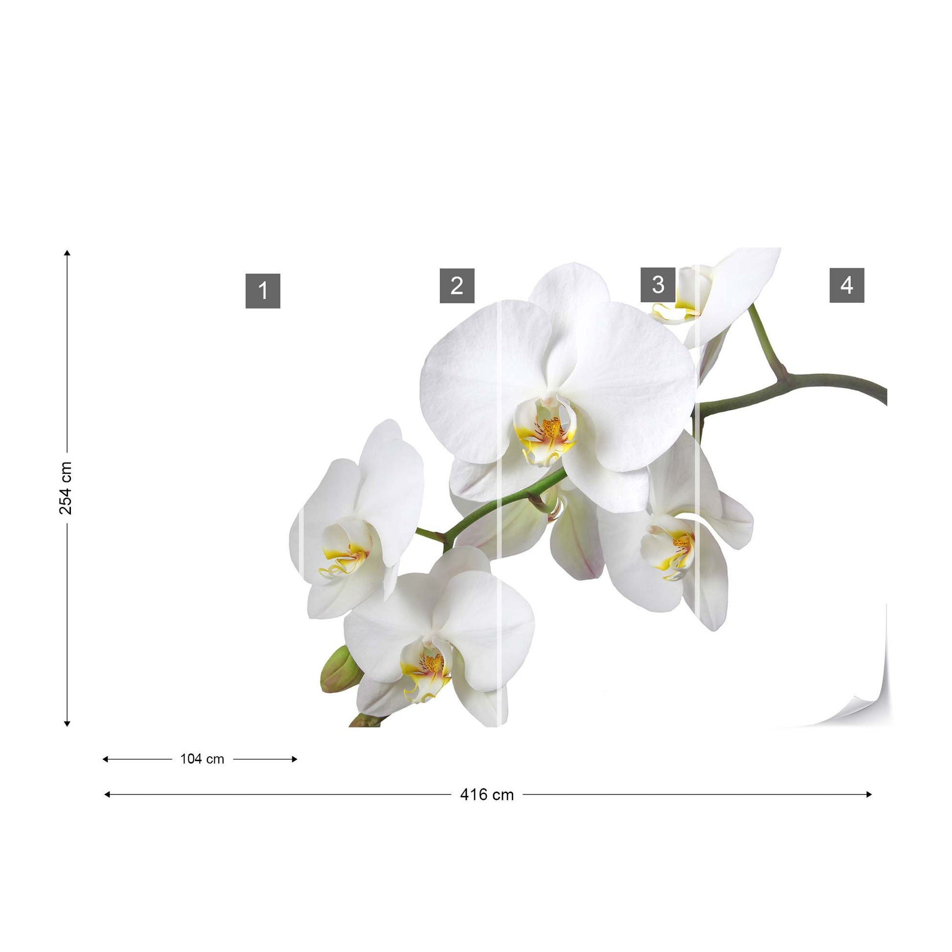 Flowers White Orchids Photo Wallpaper Wall Mural - USTAD HOME