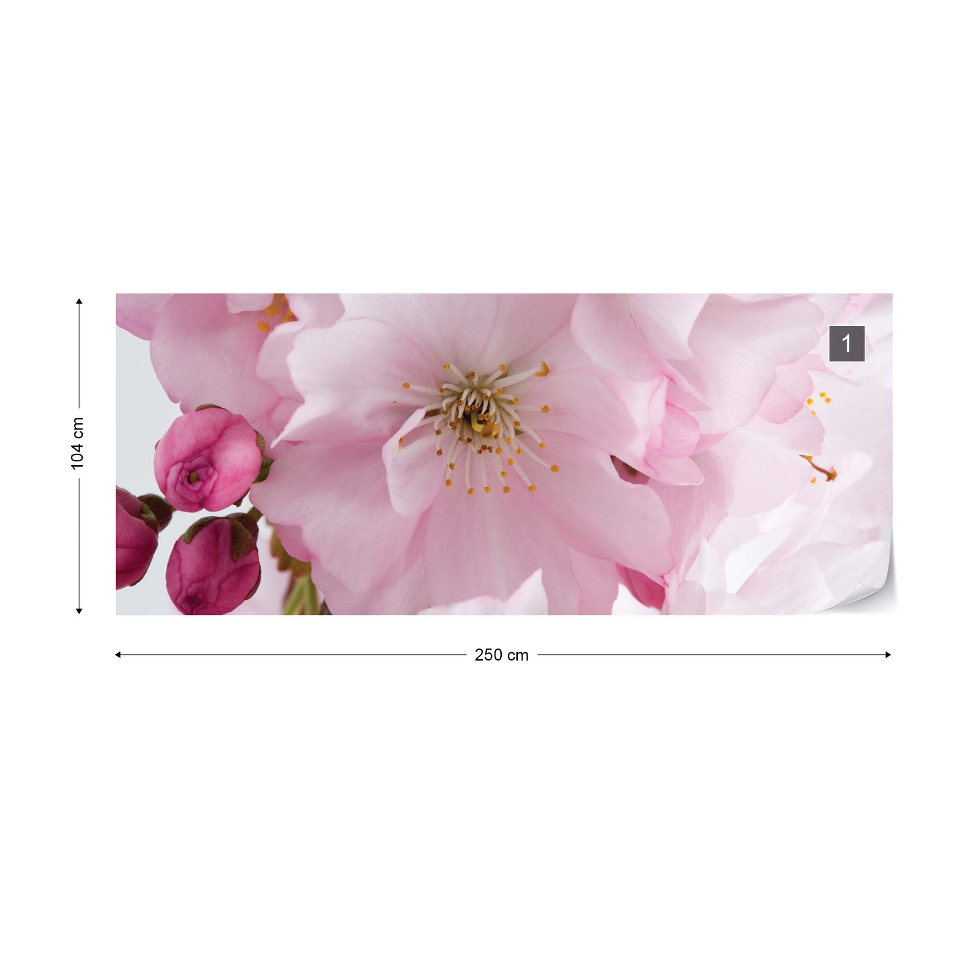 Flowers Cherry Blossom Pink Photo Wallpaper Wall Mural - USTAD HOME