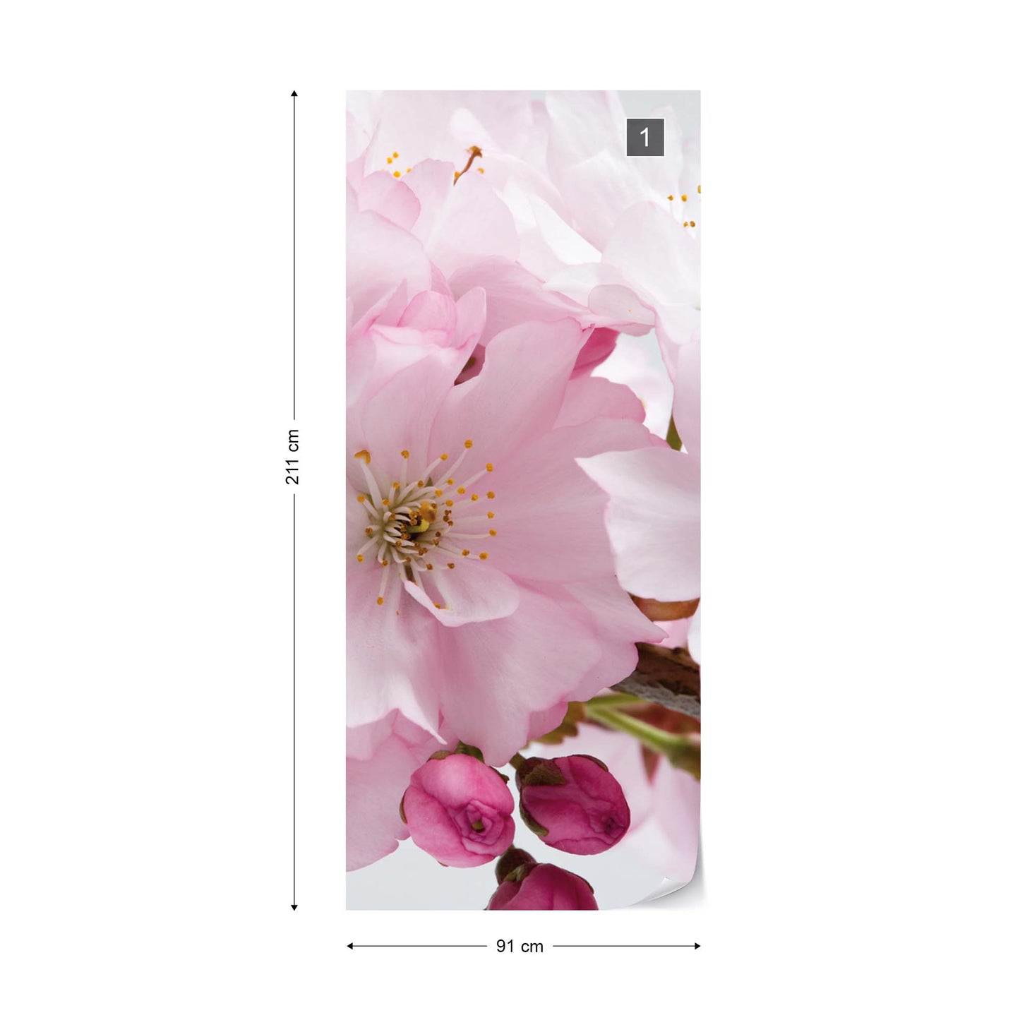 Flowers Cherry Blossom Pink Photo Wallpaper Wall Mural - USTAD HOME
